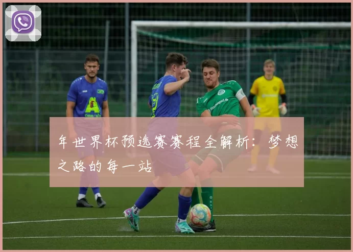 年世界杯预选赛赛程全解析：梦想之路的每一站