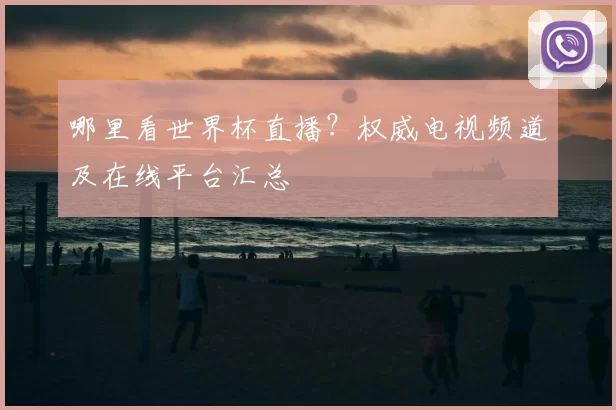 哪里看世界杯直播？权威电视频道及在线平台汇总