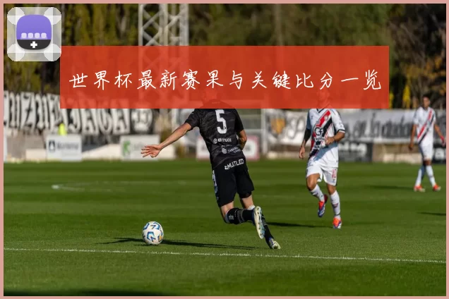 世界杯最新赛果与关键比分一览