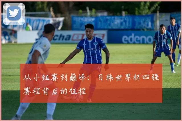 从小组赛到巅峰:日韩世界杯四强赛程背后的征程