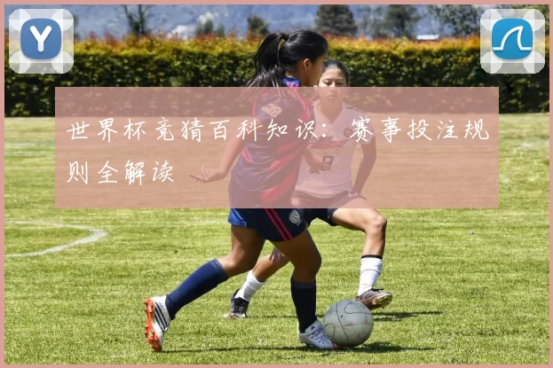 世界杯竞猜百科知识:赛事投注规则全解读