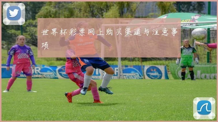 世界杯彩票网上购买渠道与注意事项