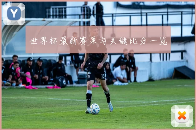 世界杯最新赛果与关键比分一览