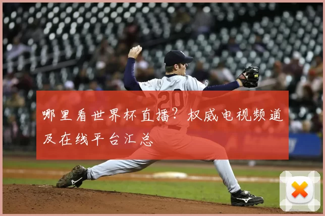 哪里看世界杯直播？权威电视频道及在线平台汇总