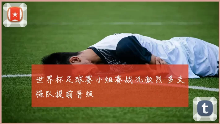 世界杯足球赛小组赛战况激烈 多支强队提前晋级
