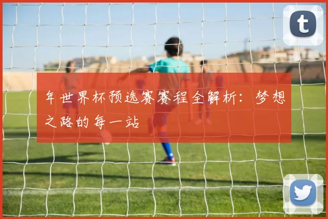 年世界杯预选赛赛程全解析：梦想之路的每一站